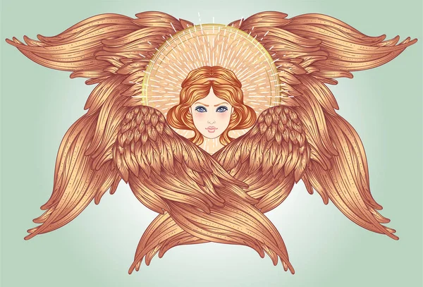 Seraph Six Anges Ailés Illustration Vectorielle Dessinée Main Isolée Haut — Image vectorielle