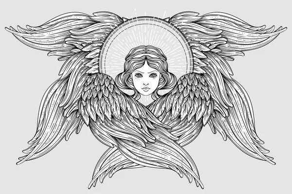 Seraph Six Anges Ailés Illustration Vectorielle Dessinée Main Isolée Haut — Image vectorielle