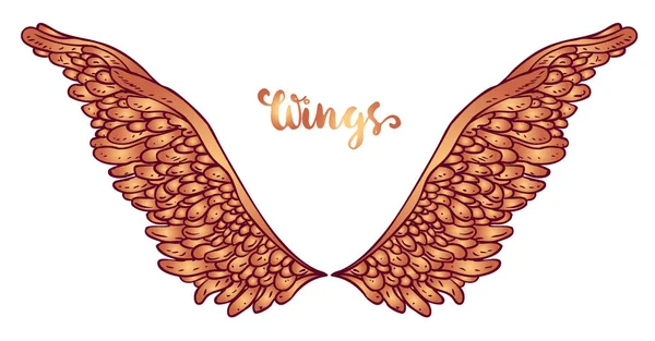天使的翅膀 装饰巴洛克风格的元素 向量例证 纹身模板 时尚手绘古董符号收藏 复古设计元素 — 图库矢量图片