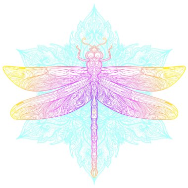 Kutsal geometri işareti üzerindeki yusufçuk sineği, izole vektör çizimi