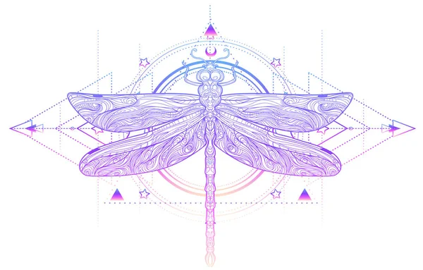 Dragonfly över heliga geometri tecken, isolerad vektor illustration — Stock vektor