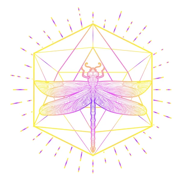 Dragonfly over heilige geometrie teken, geïsoleerde vector illustratie — Stockvector