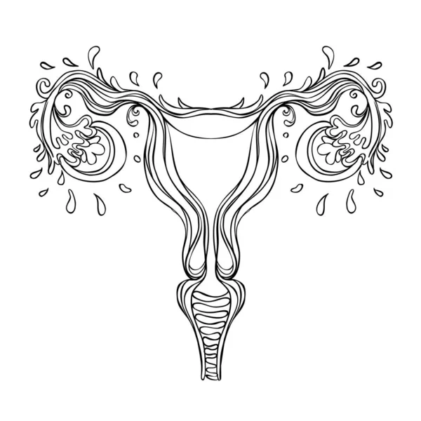 Decorative drawing of female reproductive system with flowers. H — Stock Vector