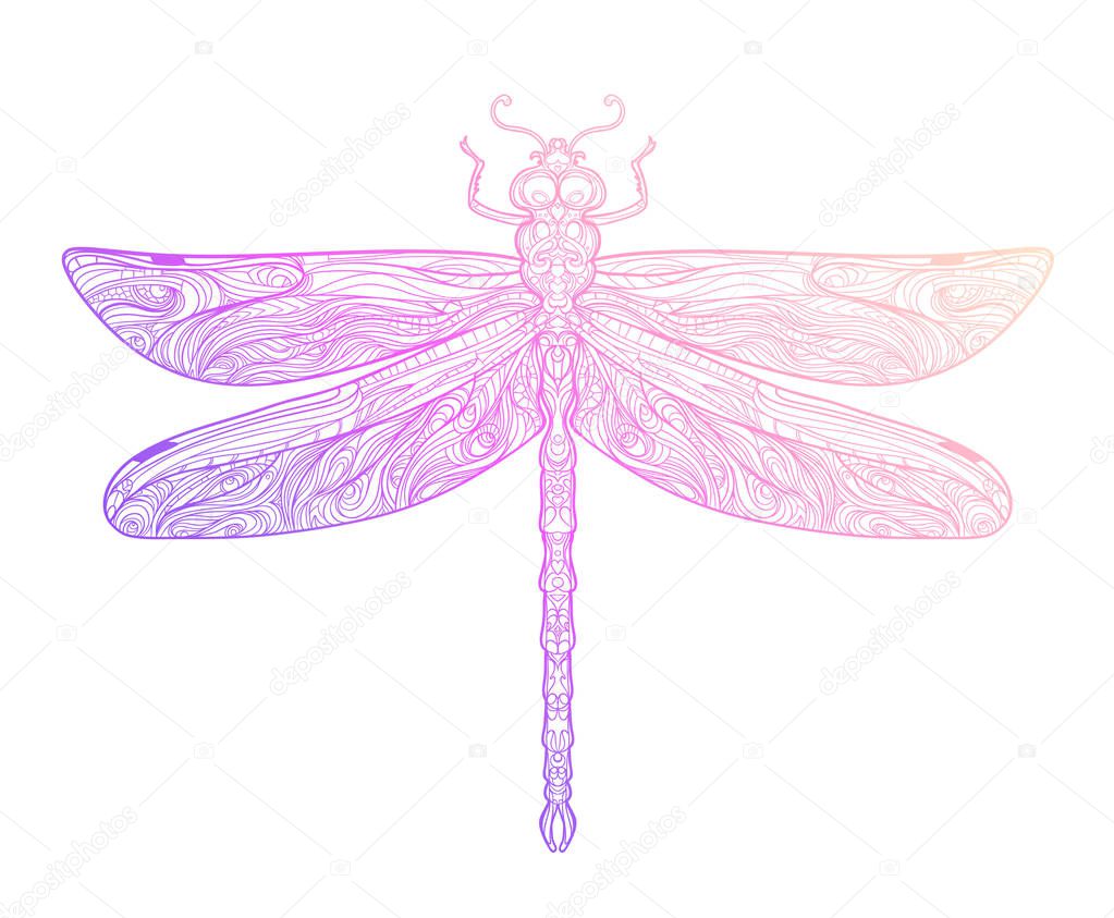 Dragonfly over sacred geometry sign, isolated vector illustratio