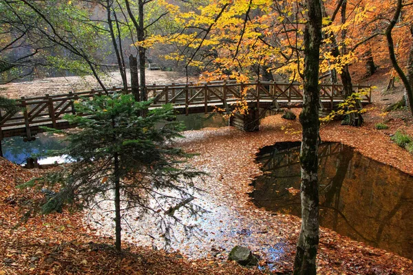 Lake Covered Fallen Leaves Wooden Bridge Autumn Forest — Stock Photo, Image