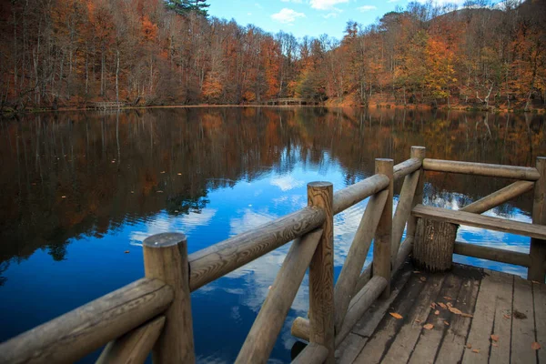 Лесное Озеро Деревянная Дорожка Осенних Цветах — стоковое фото