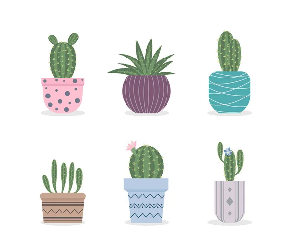 Conjunto Seis Ilustraciones Cactus Dibujos Animados Suculentas Puede Ser Utilizado — Archivo Imágenes Vectoriales