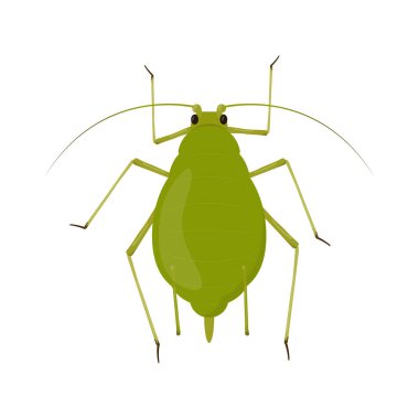 Aphid isolated on white background. Insect pest illustration clipart