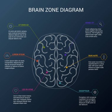 Brain function diagram. Top view of human brain clipart