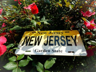 New Jersey Plakası Gül Bahçesinde