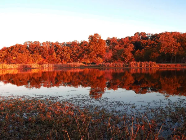Reflexões Coloridas Outono Uma Lagoa Outubro — Fotografia de Stock