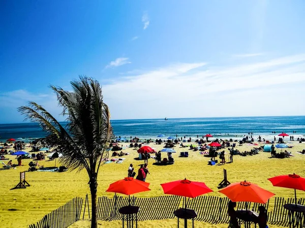 Ombrelli Palme Che Affacciano Beach Resort — Foto Stock