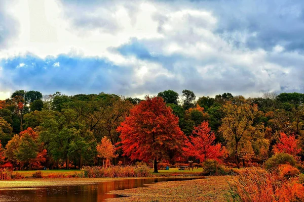 Folhagem Outono Colorida Perto Uma Lagoa Parque — Fotografia de Stock