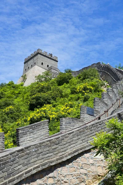 Gran pared de china — Foto de Stock