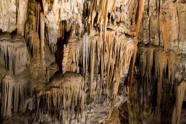 Postojna grotte Slovenya