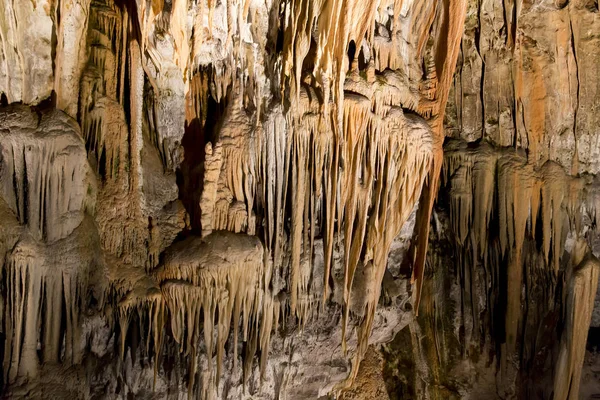 Postojna grotte in Slovenia — Stock Photo, Image