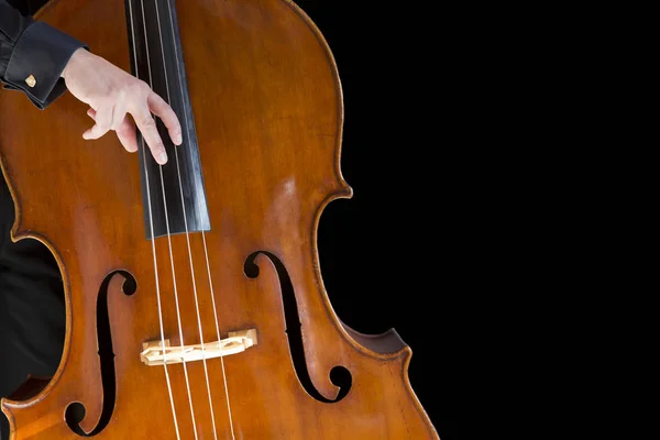 Double bass — Stock Photo, Image