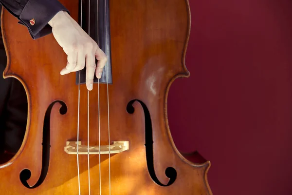 Double bass — Stock Photo, Image