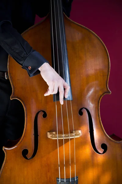 Double bass — Stock Photo, Image