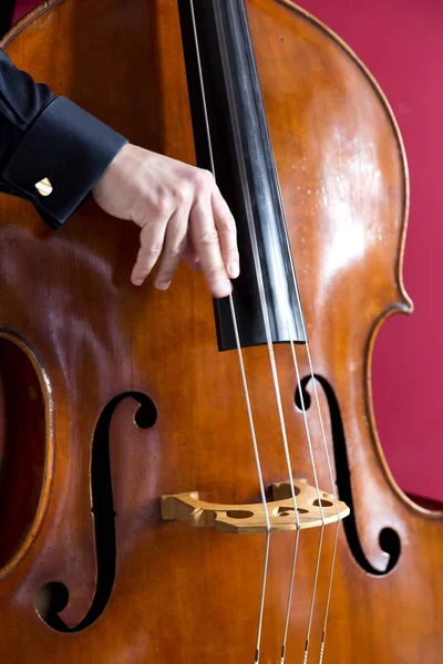 Double bass — Stock Photo, Image