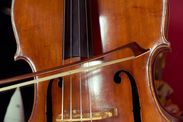 Double bass — Stock Photo, Image