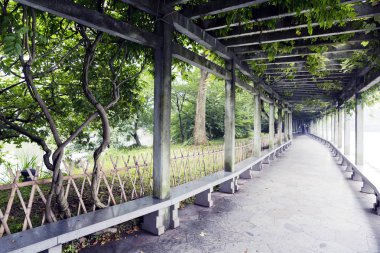 Hangzhou, Çin
