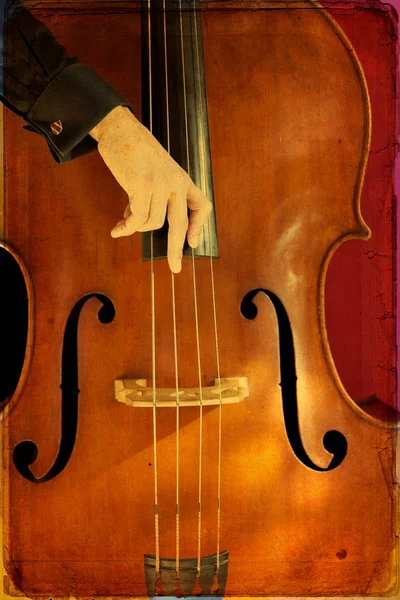 Double bass — Stock Photo, Image