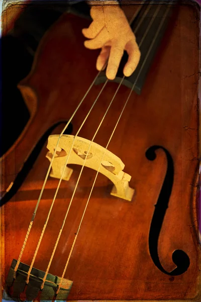 Double bass — Stock Photo, Image
