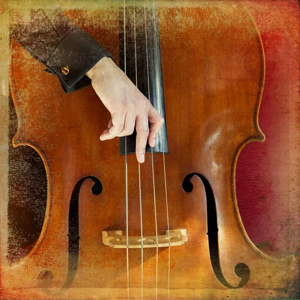 Double bass — Stock Photo, Image