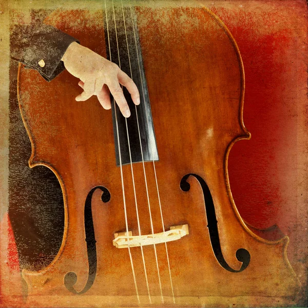 Double bass — Stock Photo, Image