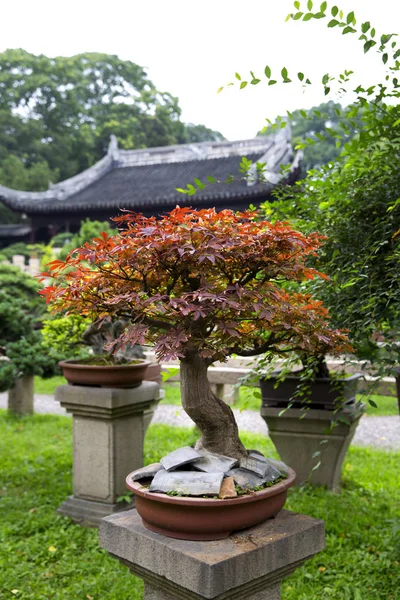 Suzhou, China — Foto de Stock