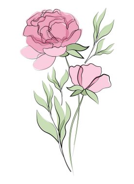 Çiçekler ve yapraklar. Hassas çiçek deseni. Suluboya arka planda çizgi çizimi. Çizim, taslak, mürekkep, serbest çizim, grafikler. Beyaz arkaplanda izole edilmiş vektör illüstrasyonu.