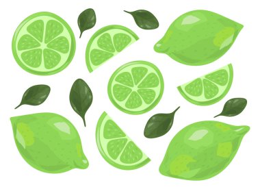 Taze sulu limon seti. Meyve dilimleri. Vektör illüstrasyonu beyaz arkaplanda izole edildi.