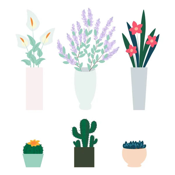 花瓶里的花 家庭植物 一套可爱的卡通植物 白色背景上孤立的平面矢量图解 — 图库矢量图片