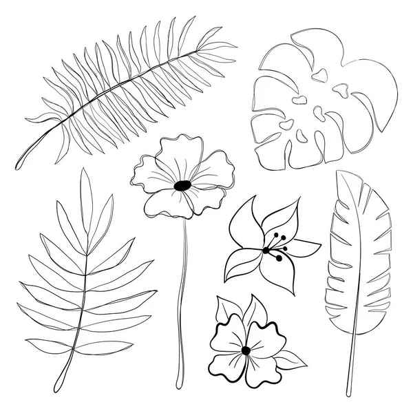 Conjunto Folhas Flores Tropicais Arte Linha Minimalismo Estêncil Colorir Ilustração — Vetor de Stock