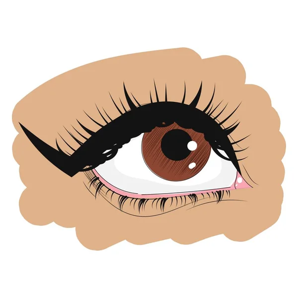 Brown Eye White Background Woman Eye Eye Makeup Graphics Icon — Stock Vector