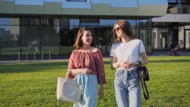Deux meilleurs amis viennent de l'université et s'amusent à profiter de l'air frais. — Video