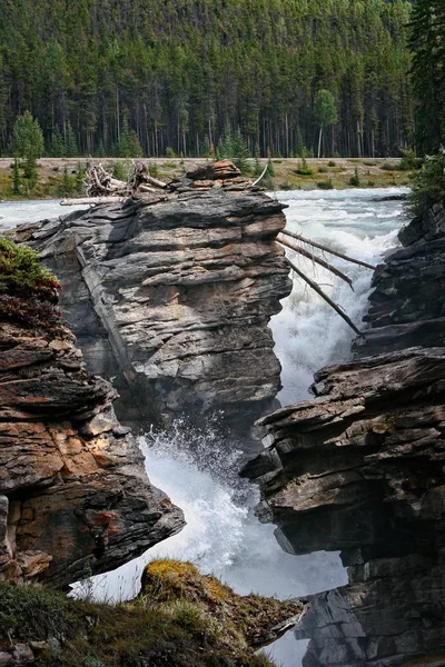 Correntes Rio Athabasca Parque Nacional Jasper — Fotografia de Stock
