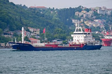 Istanbul, Türkiye - 24 Mayıs: Görünümü bir gemi aşağı Boğaziçi Istanbul Türkiye'de 24 Mayıs 2018 üzerinde seyir