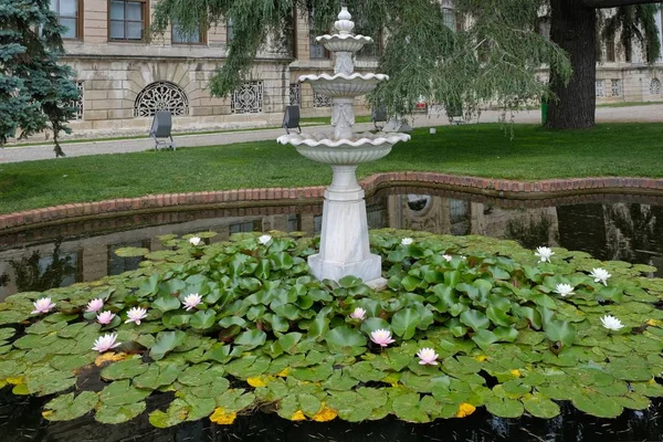 Stambuł Turcja Maja Lilie Wodne Kwitnienia Dolmabache Pałac Muzeum Stambule — Zdjęcie stockowe