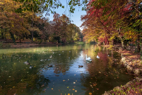 Herfst Scène Aan Het Meer Parco Monza — Stockfoto