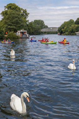 Windsor, Maidenhead ve Windsor/Uk - 22 Temmuz: insanlar, Windsor, Windsor Maidenhead ve Thames Nehri aşağı 22 Temmuz 2018 üzerinde kayak. Kimliği belirsiz kişi