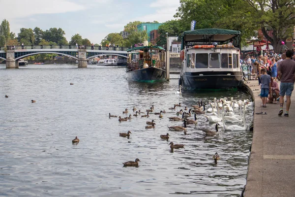 Windsor Maidenhead Windsor Velká Británie Července Lodě Ptáci Podél Řeky — Stock fotografie