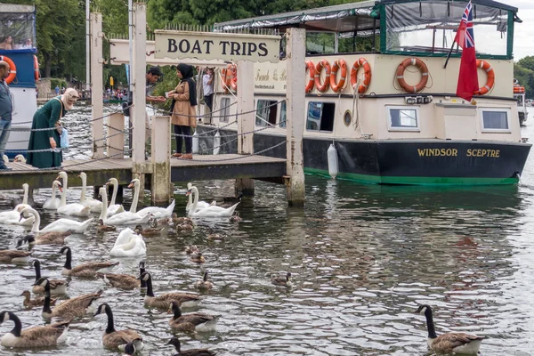 梅登黑德和温莎 7月22日 在泰晤士河上的船只 鸟类和人民在温莎 梅登黑德和温莎在2018年7月22日 不明身份的人 — 图库照片
