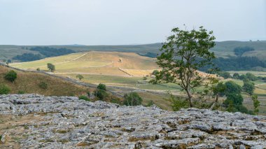 Malham Cove Yorkshire Dales National Park yukarıda kireçtaşı Döşeme görünümü