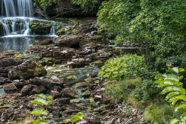 Blick Auf Aysgarth Falls Aysgarth Yorkshire Dales Nationalpark — Stockfoto