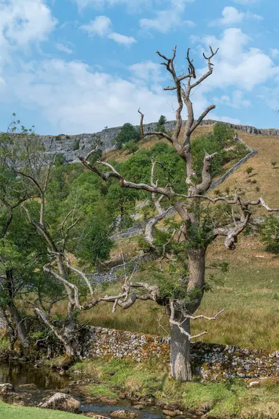 Över Landskapet Runt Malham Cove Yorkshire Dales Nationalpark — Stockfoto