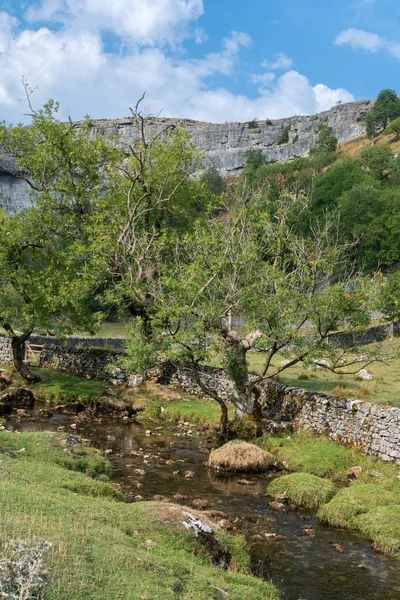 Över Landskapet Runt Malham Cove Yorkshire Dales Nationalpark — Stockfoto