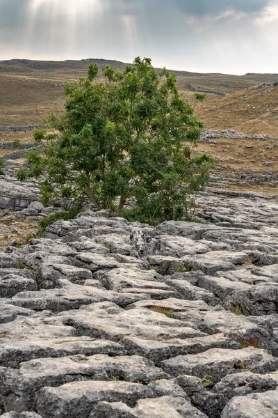 マルハム コーブ ヨークシャー デイルズ国立公園内の上に石灰岩舗装のビュー — ストック写真