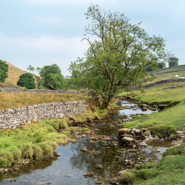 Över Landskapet Runt Malham Cove Yorkshire Dales Nationalpark — Stockfoto